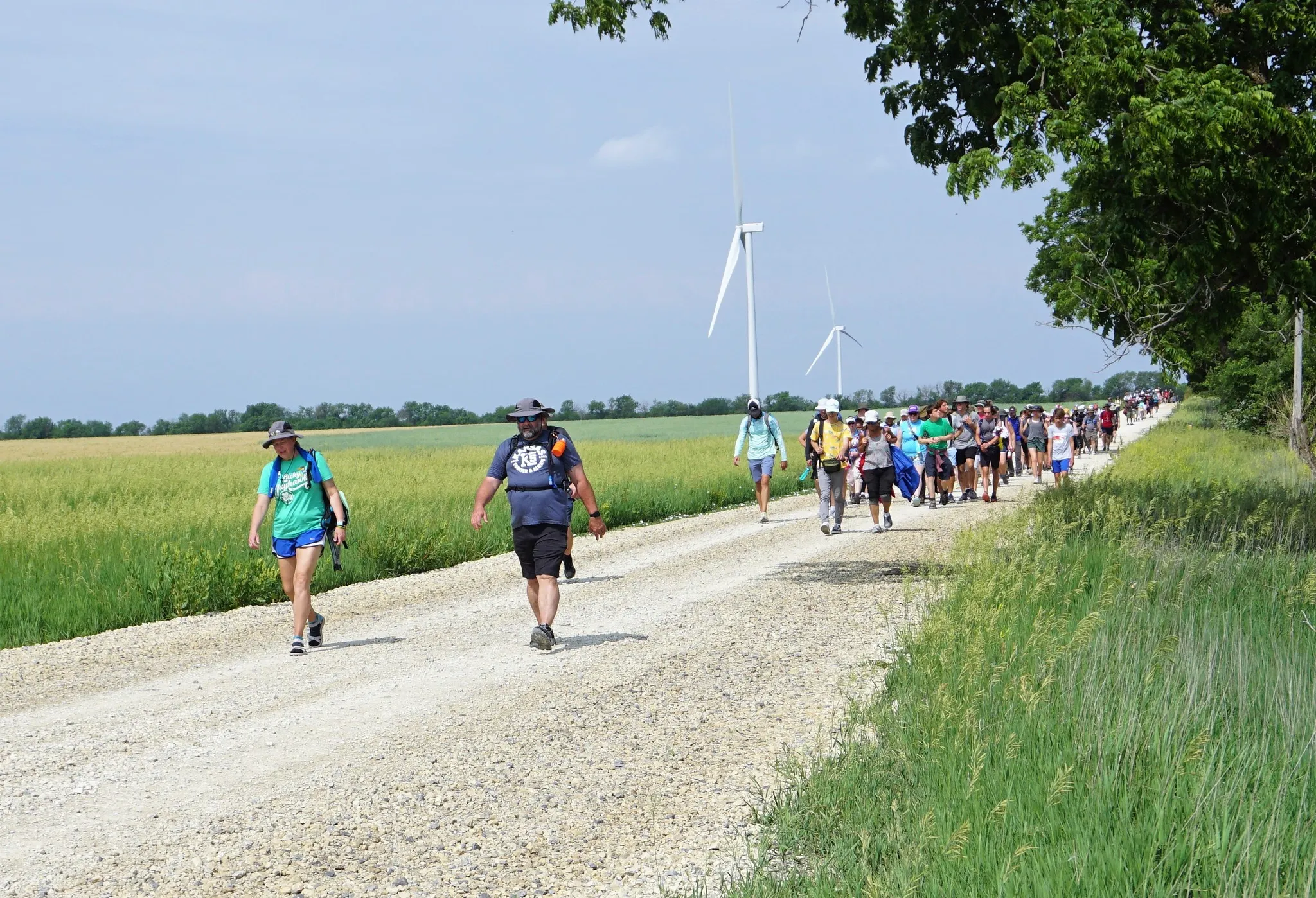 Pilgrims walk the Kansas Camino, which goes from Wichita to Father Emil Kapaun’s home parish in rural Pilsen, Kansas. Credit: Diocese of Wichita
