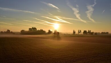 Understanding the Resurrection