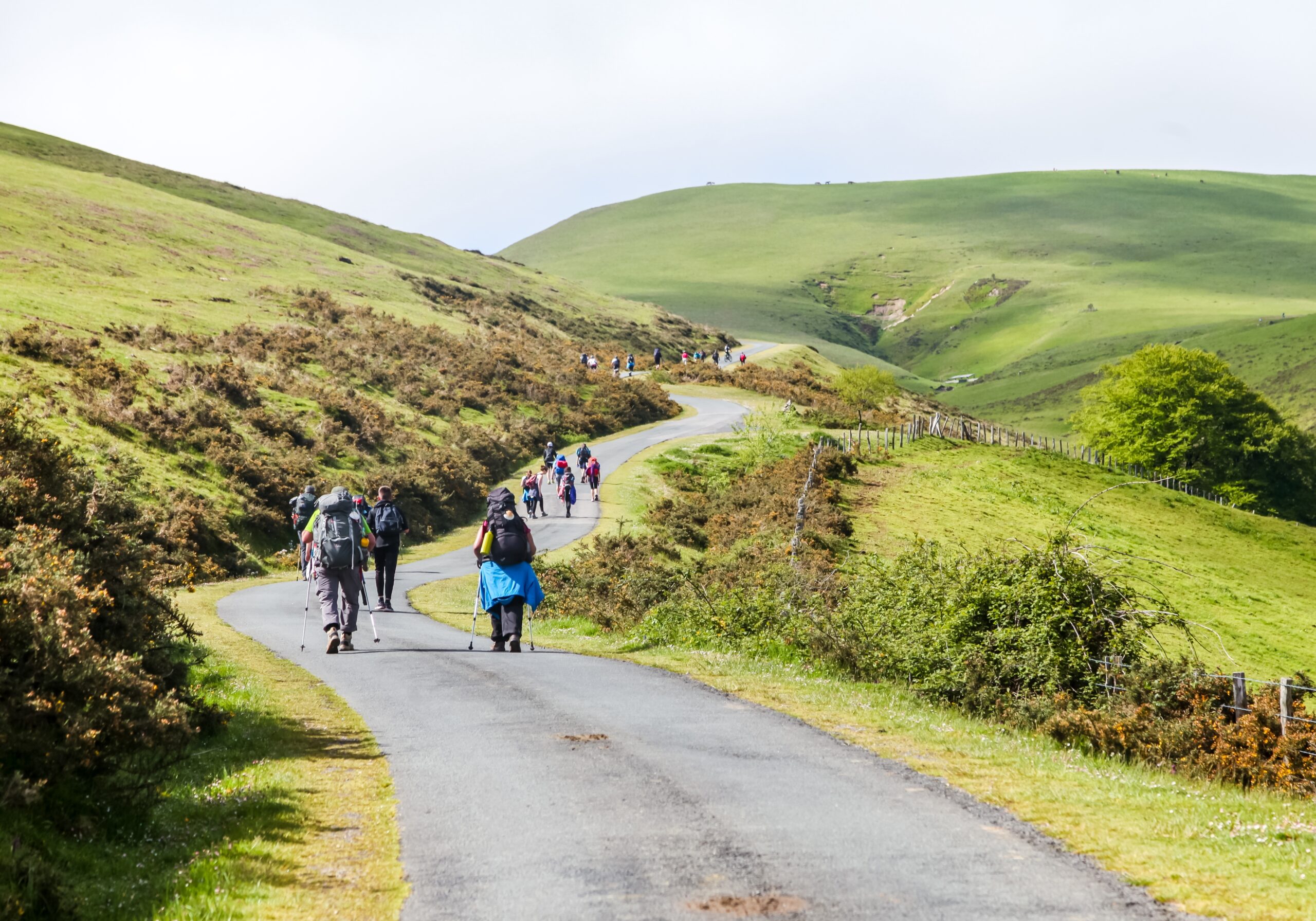 Pilgrims walk the Camino de Santiago in Spain. | Credit: Nadezhda Bolotina/Shutterstock