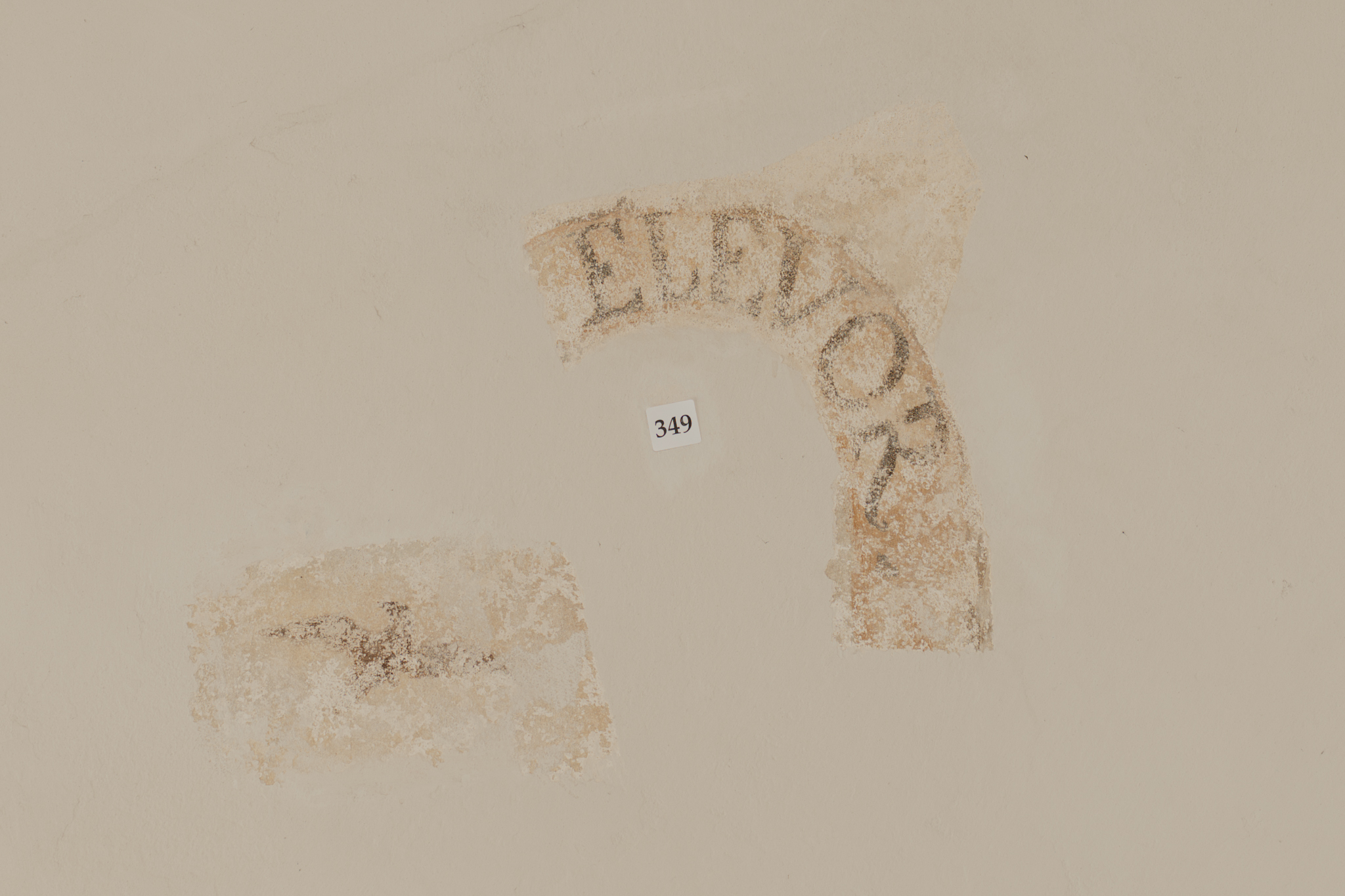 A fragment of a painted emblem featuring a pink ochre scroll with the Latin inscription “ELEVOR” and the silhouette of a flying black bird appears on a vault of St. John’s Church in Vilnius, Lithuania. | Credit: Ugnius Bagdonavičius/Vilnius University