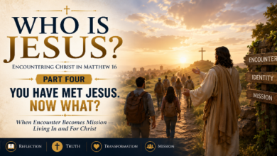 You Have Encountered Jesus - Now What