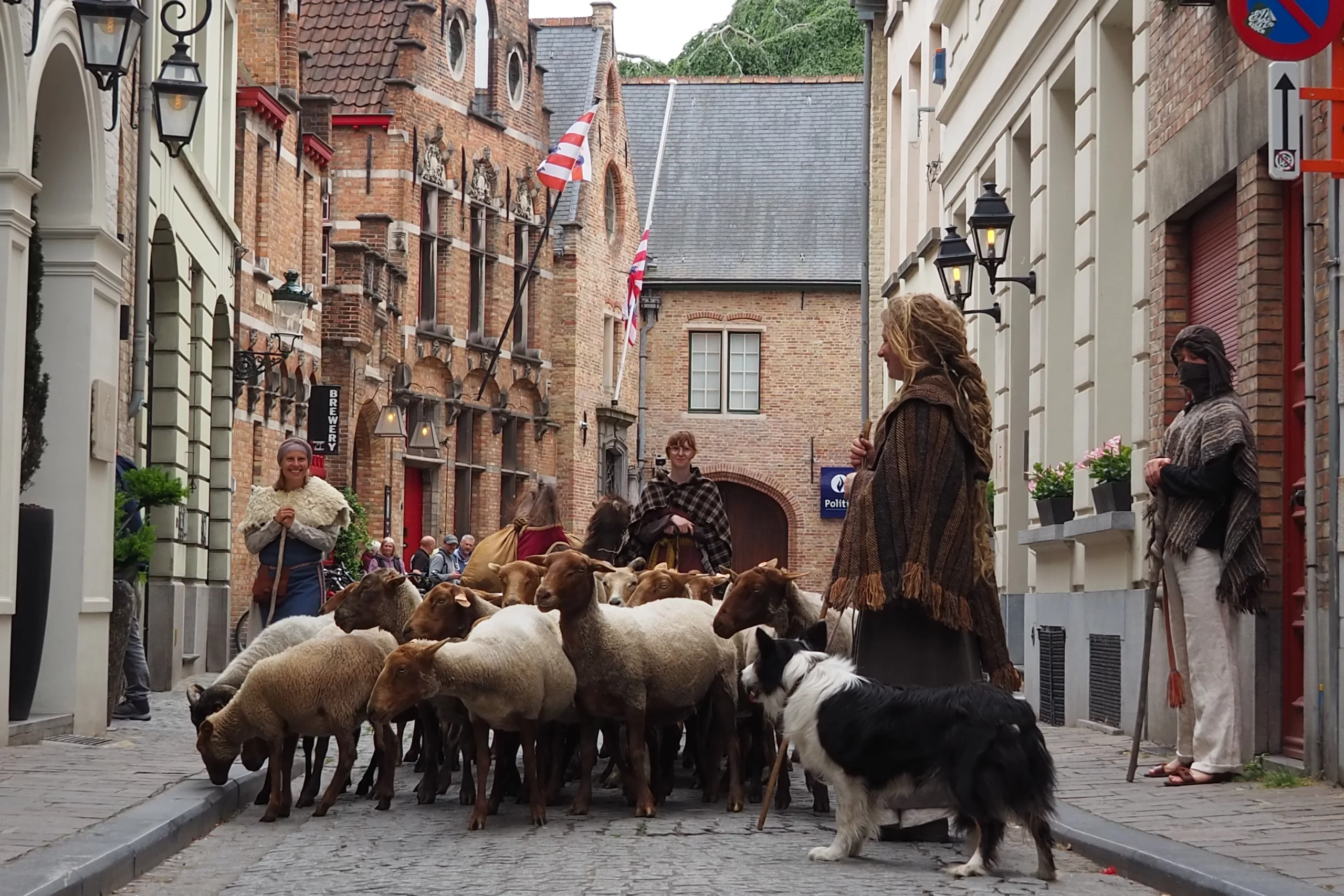 Approximately 200 different animals participate in the Holy Blood Procession on May 29, 2025. Credit: Thomas P. Reiter