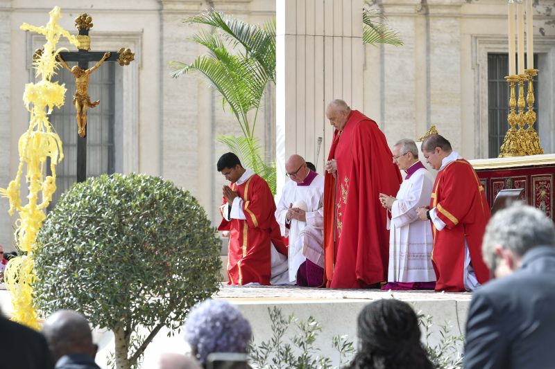 Pope Francis on Palm Sunday Jesus entered Jerusalem as a humble king