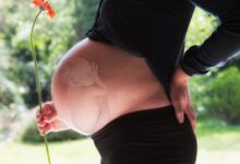 The Church's Teachings on Controversial Topics: Same-Sex Marriage and Abortion in Light of Catholic Doctrine